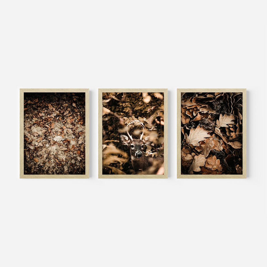 Zestaw obrazy w ramie, plakaty - liście,jeleń,las - rama drewno