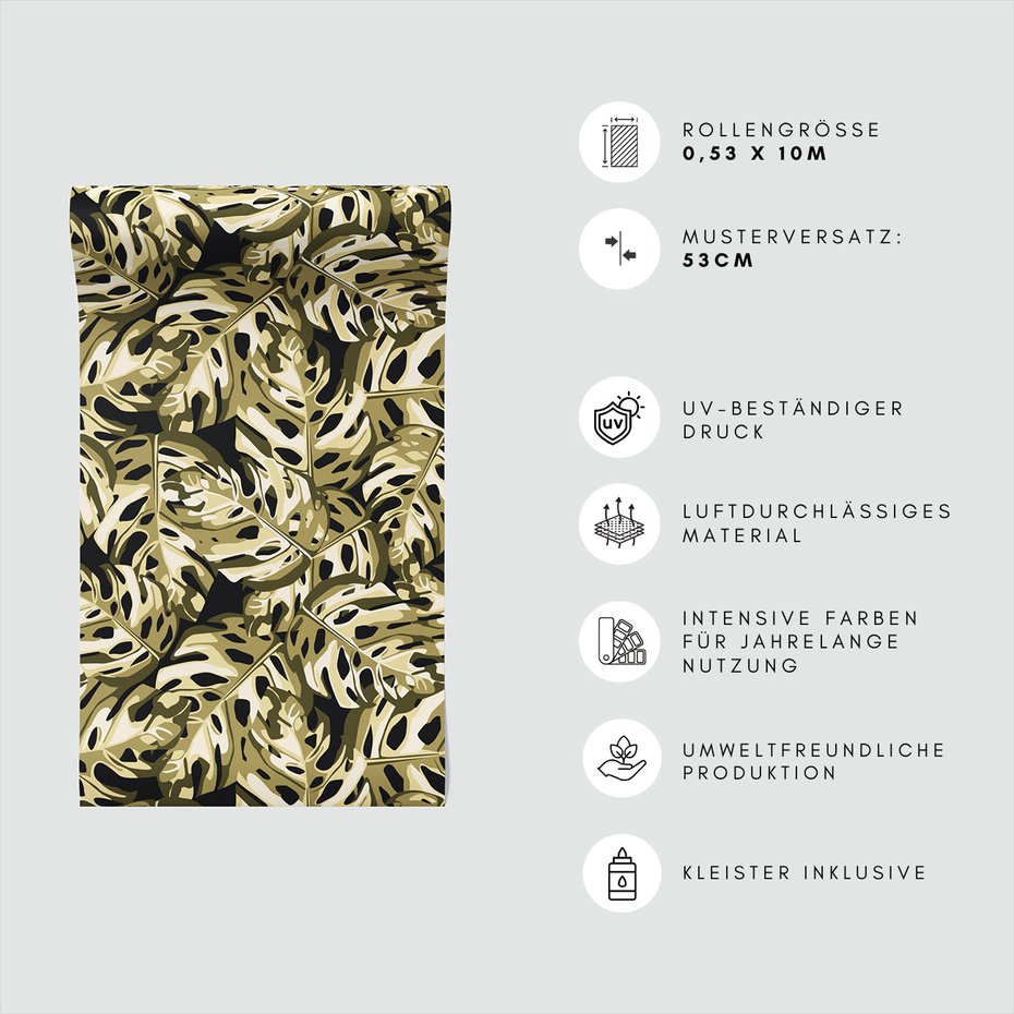 Tapeta - liście, monstera, natura