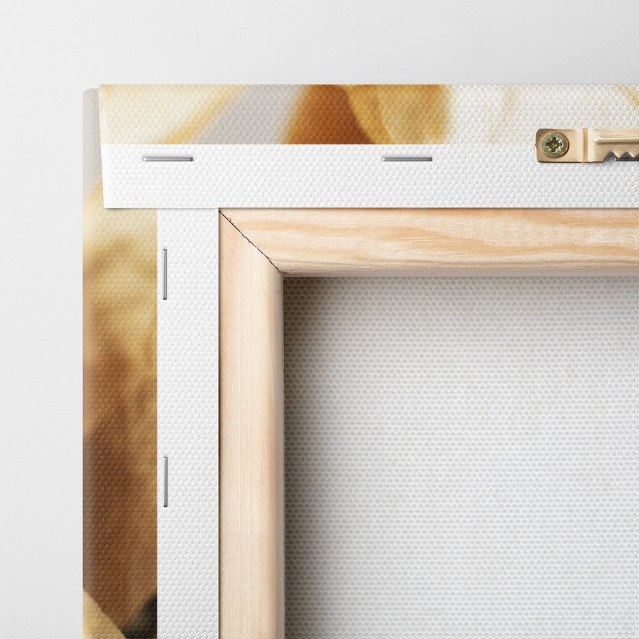 Obraz na płótnie - kwiat, płatki, suche