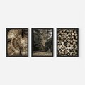 Zestaw obrazy w ramie, plakaty - drewno, kora, natura - rama czarna