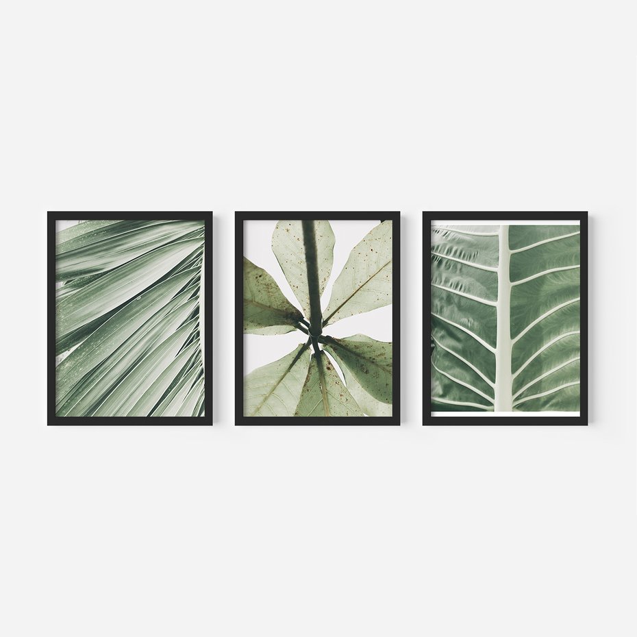 Zestaw obrazy w ramie, plakaty - liście, tropikalne, zielone - rama czarna