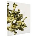 Obraz na płótnie - liście, suche, roślina