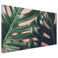 Obraz na płótnie - liście, monstera, roślina