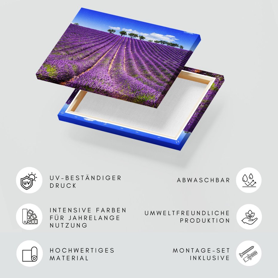 Obraz na płótnie - lawenda, pole, lato