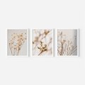 Zestaw obrazy w ramie, plakaty - kwiaty,rośliny,suszone, - rama biała