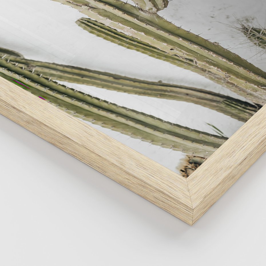 Zestaw obrazy w ramie, plakaty - kaktusy,rośliny,tekst - rama drewno