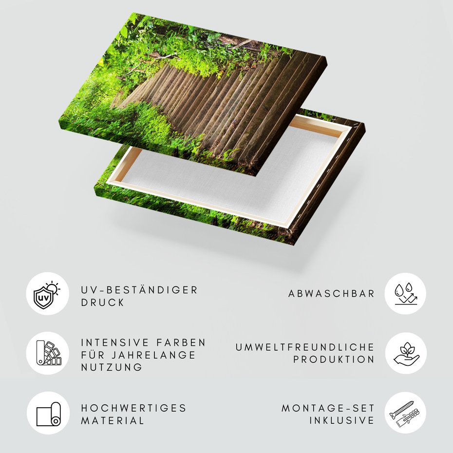 Obraz na płótnie - schody, las, natura