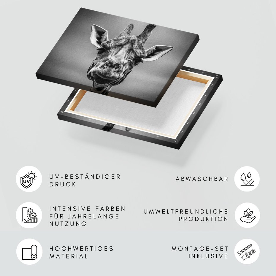 Obraz na płótnie - żyrafa, portret, Afryka