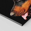 Obraz na płótnie - doberman, pies, portret