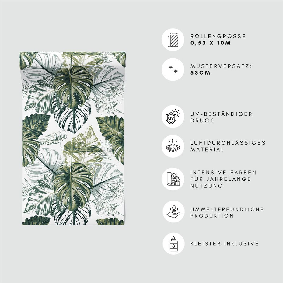 Tapeta - liście, monstera, rośliny