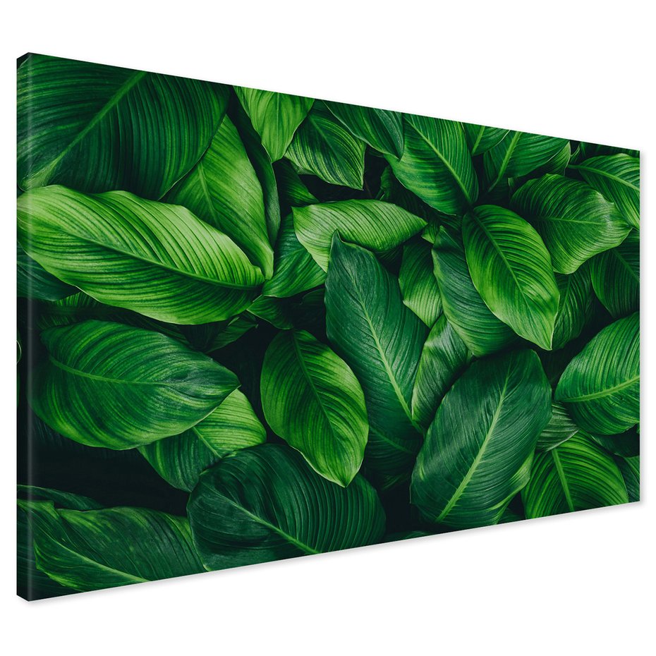 Obraz na płótnie - liście, zieleń, natura