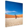 Obraz na płótnie - krajobraz, pustynia, drzewo