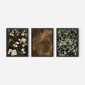 Zestaw obrazy w ramie, plakaty - kwiaty, rośliny, natura - rama czarna