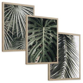 Zestaw obrazy w ramie, plakaty - liście, palmy, tropikalne - rama drewno