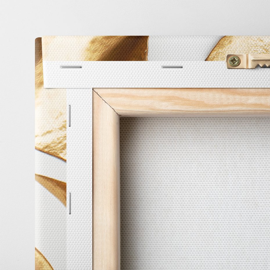 Obraz na płótnie - złoto, liście, monstera