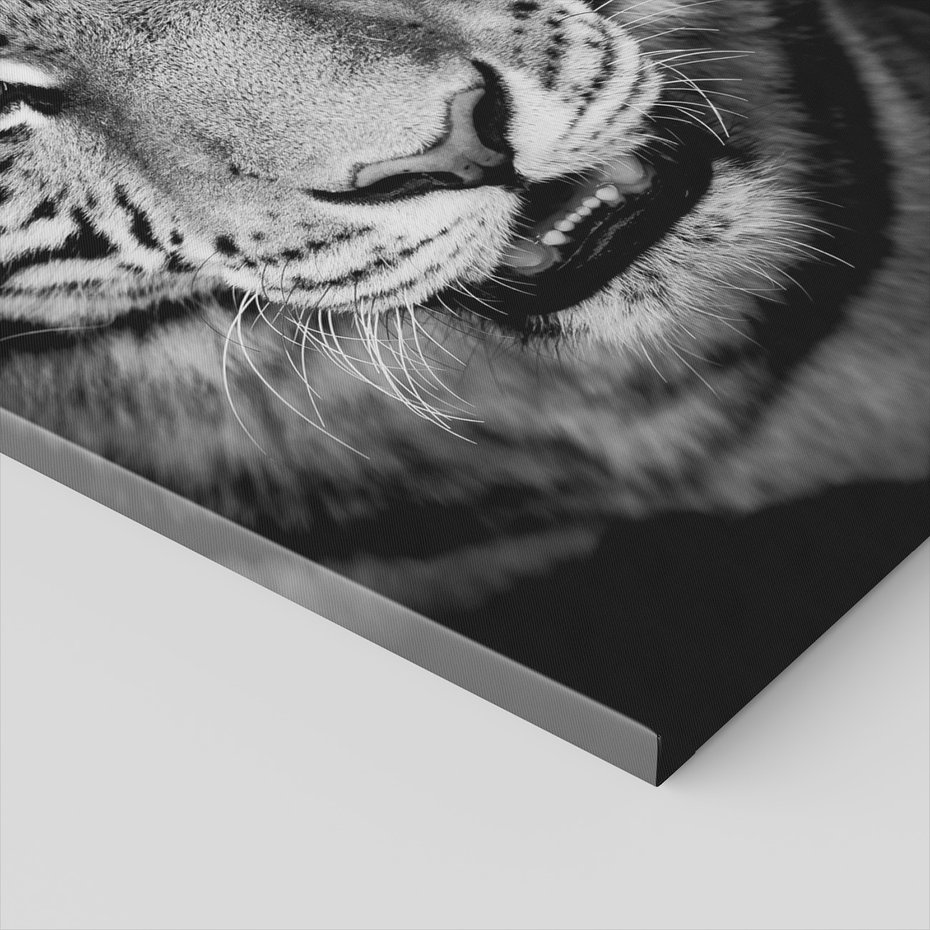 Obraz na płótnie - tygrys, zwierzę, drapieżnik