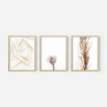 Zestaw obrazy w ramie, plakaty - roślina, suchy, kwiatostan - rama drewno