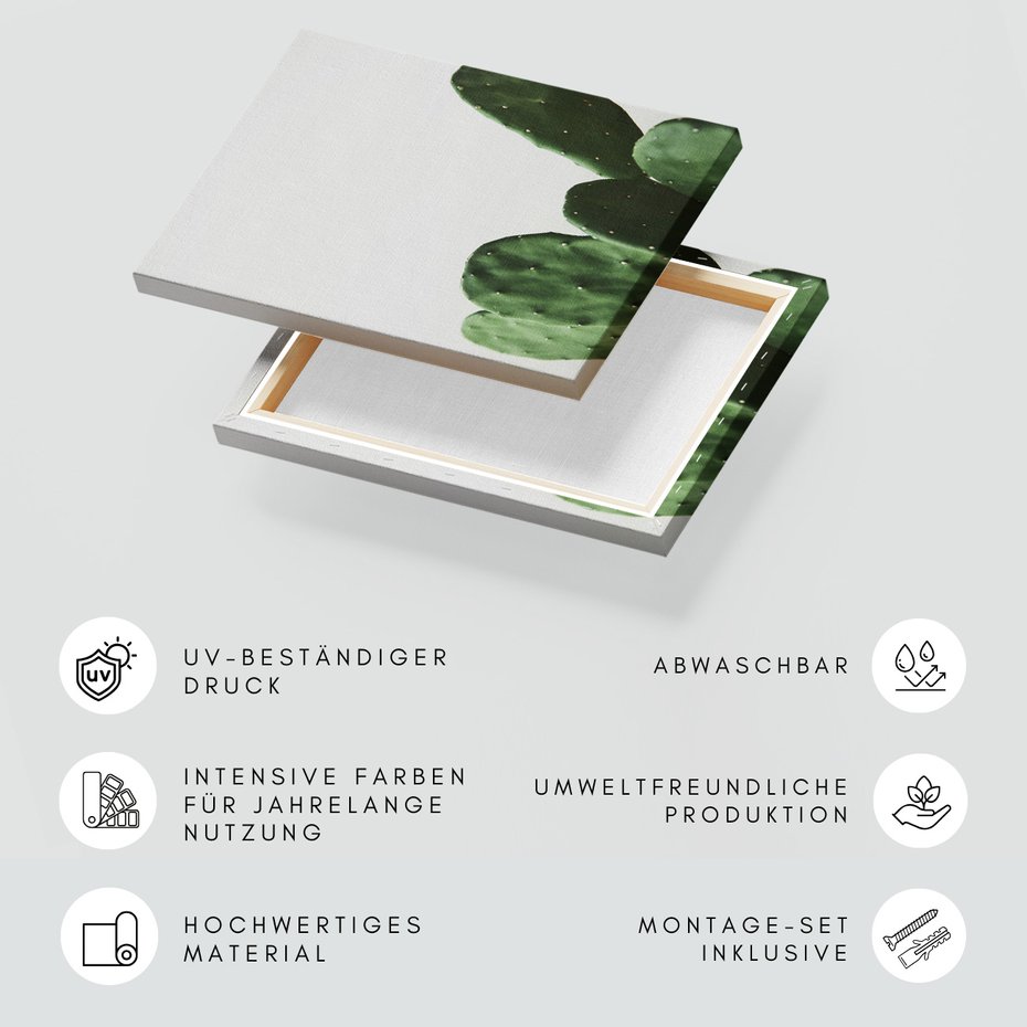 Obraz na płótnie - kaktus, roślina, zielony