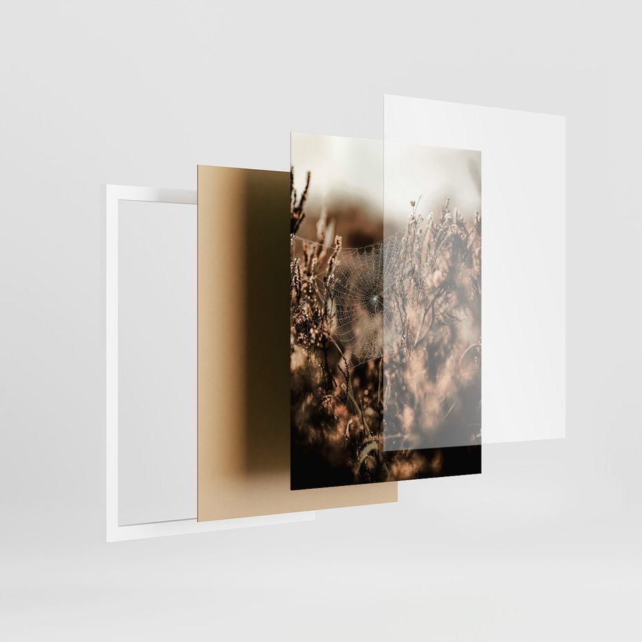 Zestaw obrazy w ramie, plakaty - przyroda, pajęczyna, owoce - rama biała