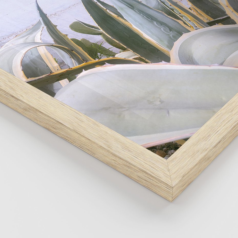 Zestaw obrazy w ramie, plakaty - rośliny, drzwi, drewno - rama drewno