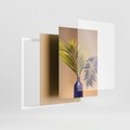 Zestaw obrazy w ramie, plakaty - liście, rośliny, minimalizm - rama biała