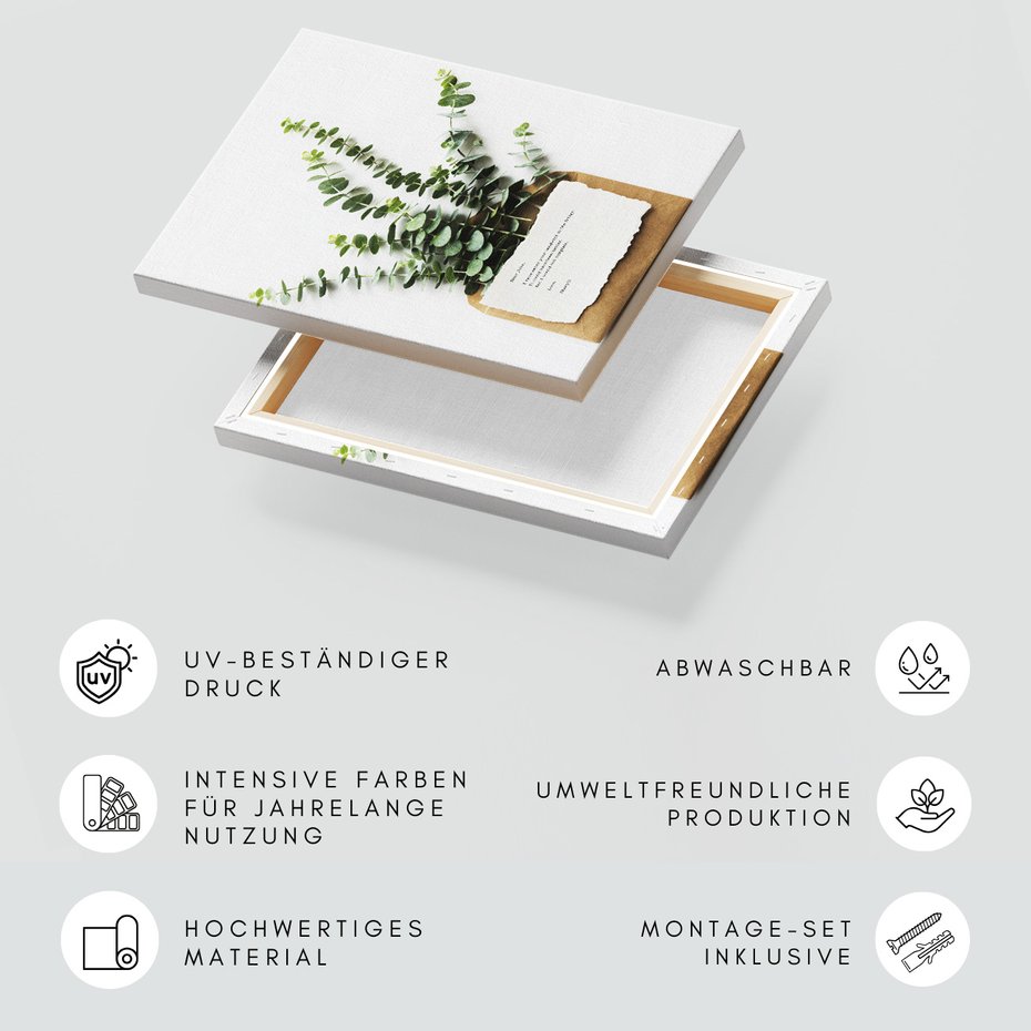 Obraz na płótnie - liście, roślina, koperta