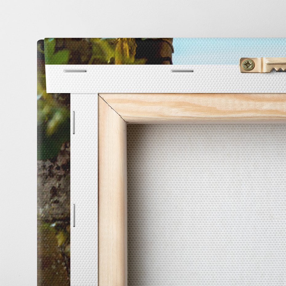 Obraz na płótnie - ulica, domy, zieleń