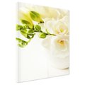 Obraz na płótnie - kwiaty, frezje, białe