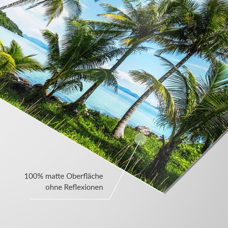 Fototapeta - palmy, morze, krajobraz