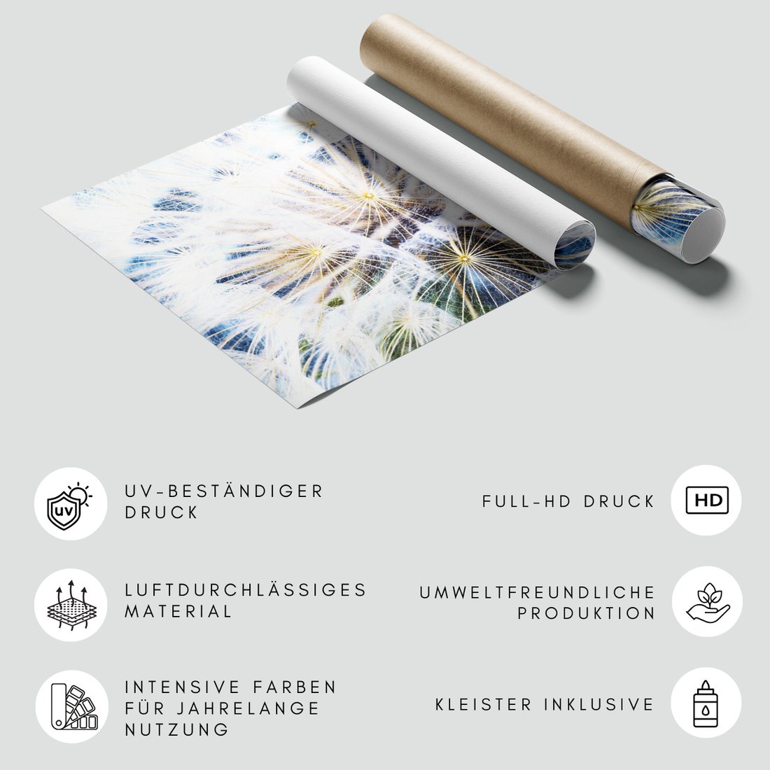 Fototapeta - dmuchawiec, natura, abstrakcja