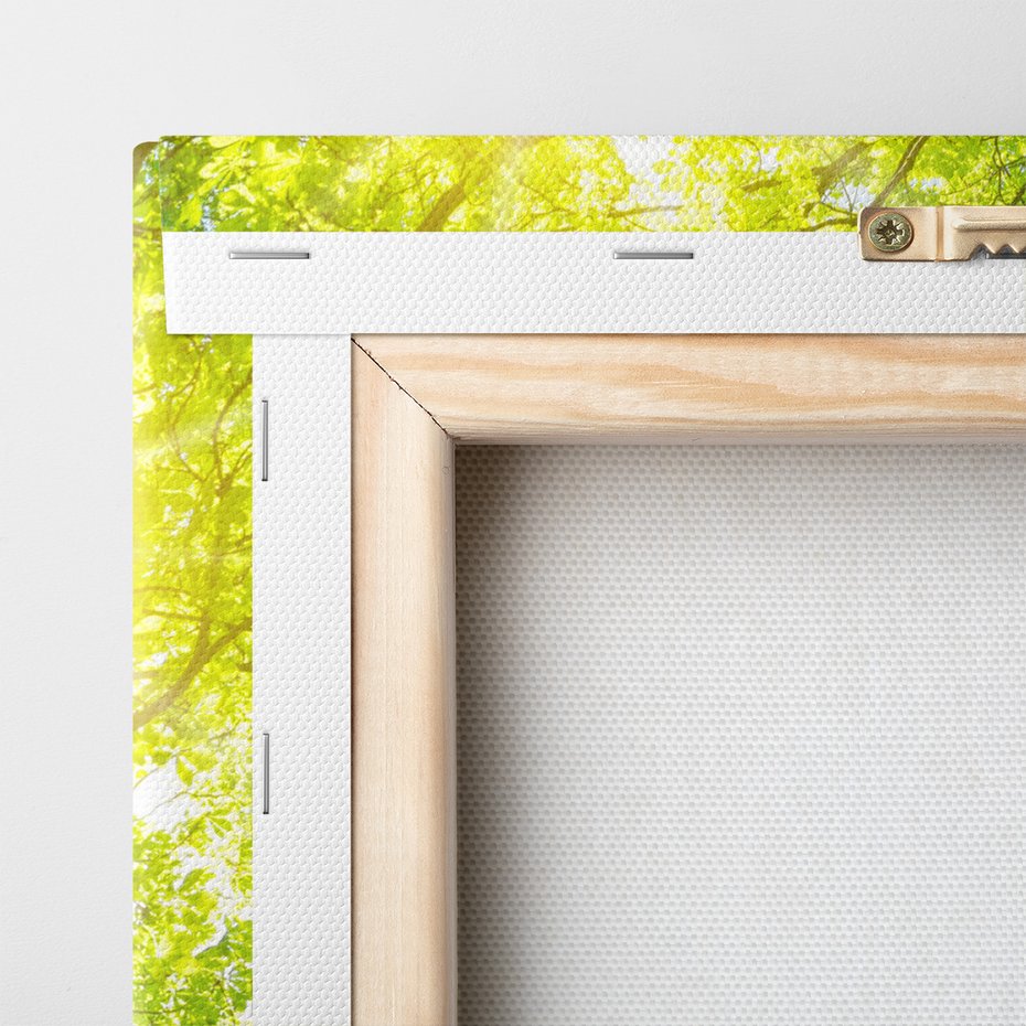 Obraz na płótnie - las, drzewa, słońce