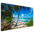 Obraz na płótnie - palmy, plaża, morze