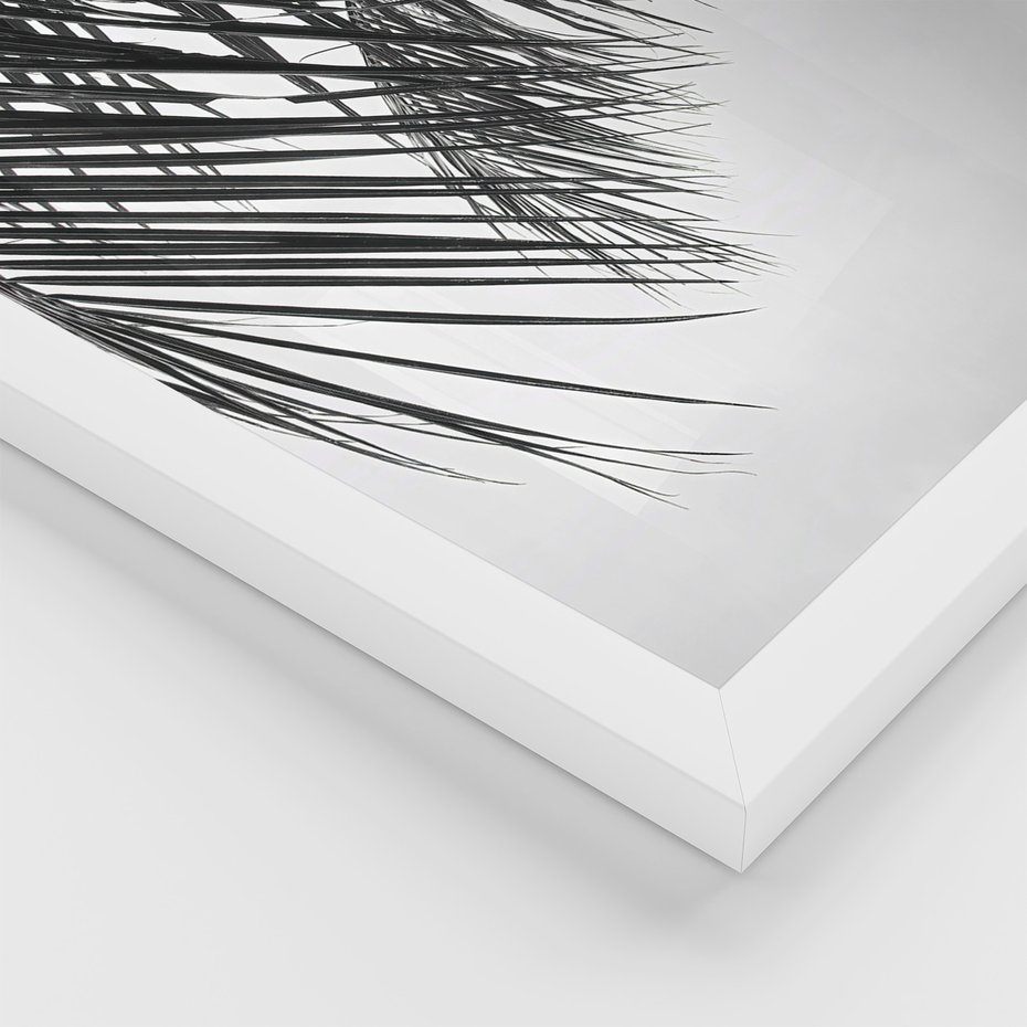 Zestaw obrazy w ramie, plakaty - liście,roślina,czarny - rama biała