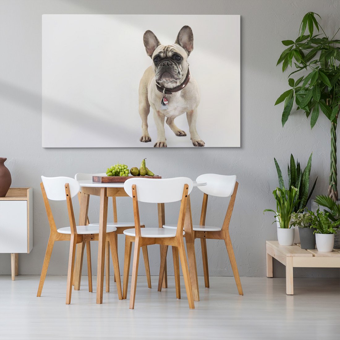 Obraz na płótnie - pies, buldog, zwierzę