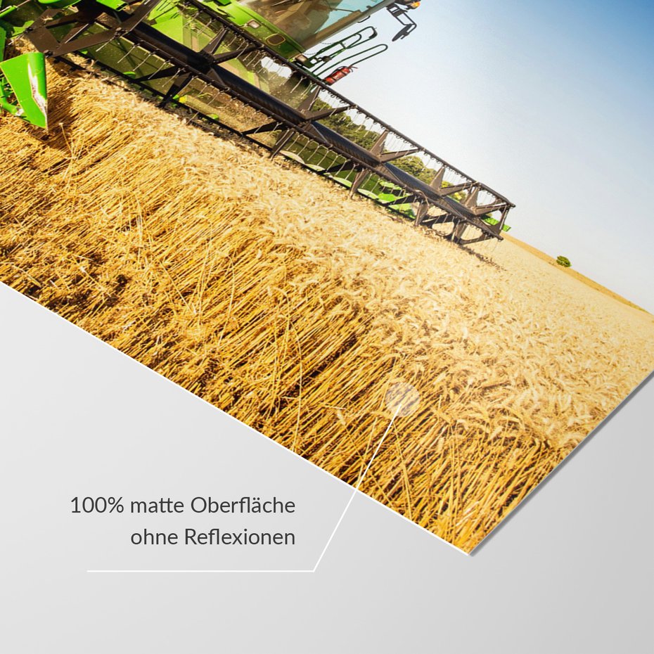 Fototapeta - żniwa, kombajn, pole