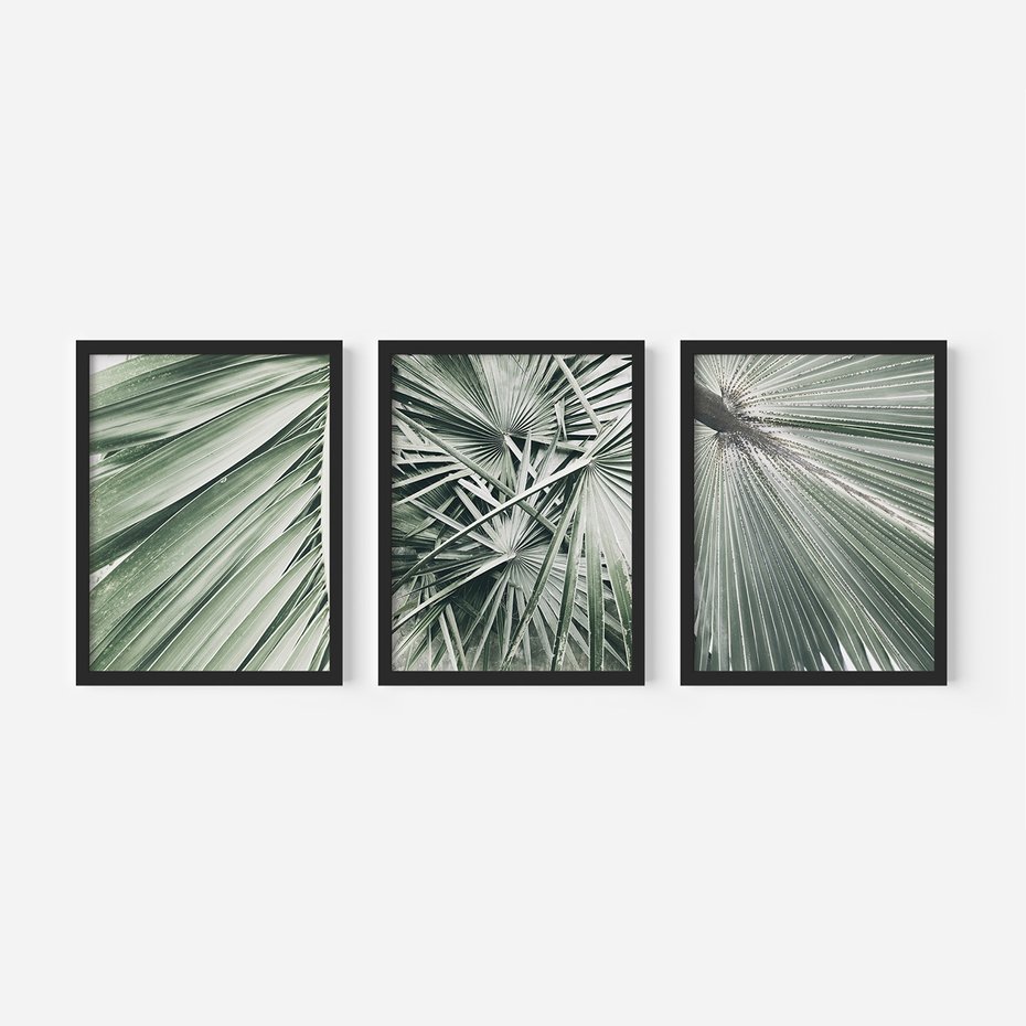 Zestaw obrazy w ramie, plakaty - liście palmowe, rośliny, natura - rama czarna