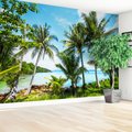Fototapeta - palmy, morze, krajobraz