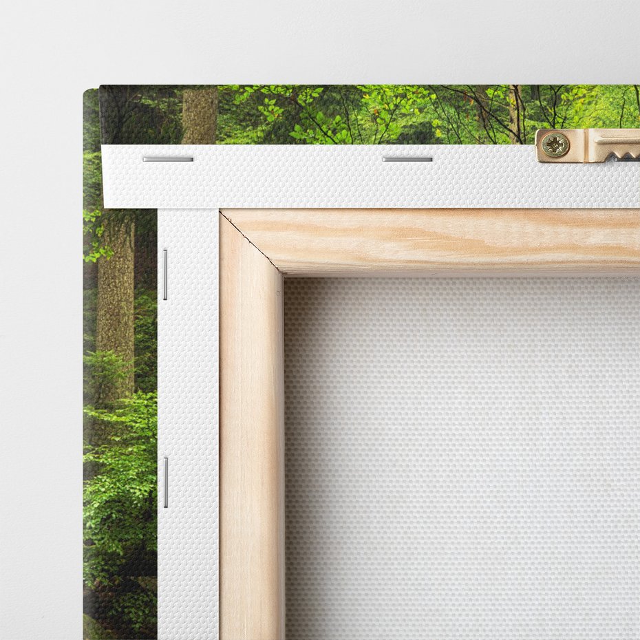 Obraz na płótnie - las, wodospad, potok