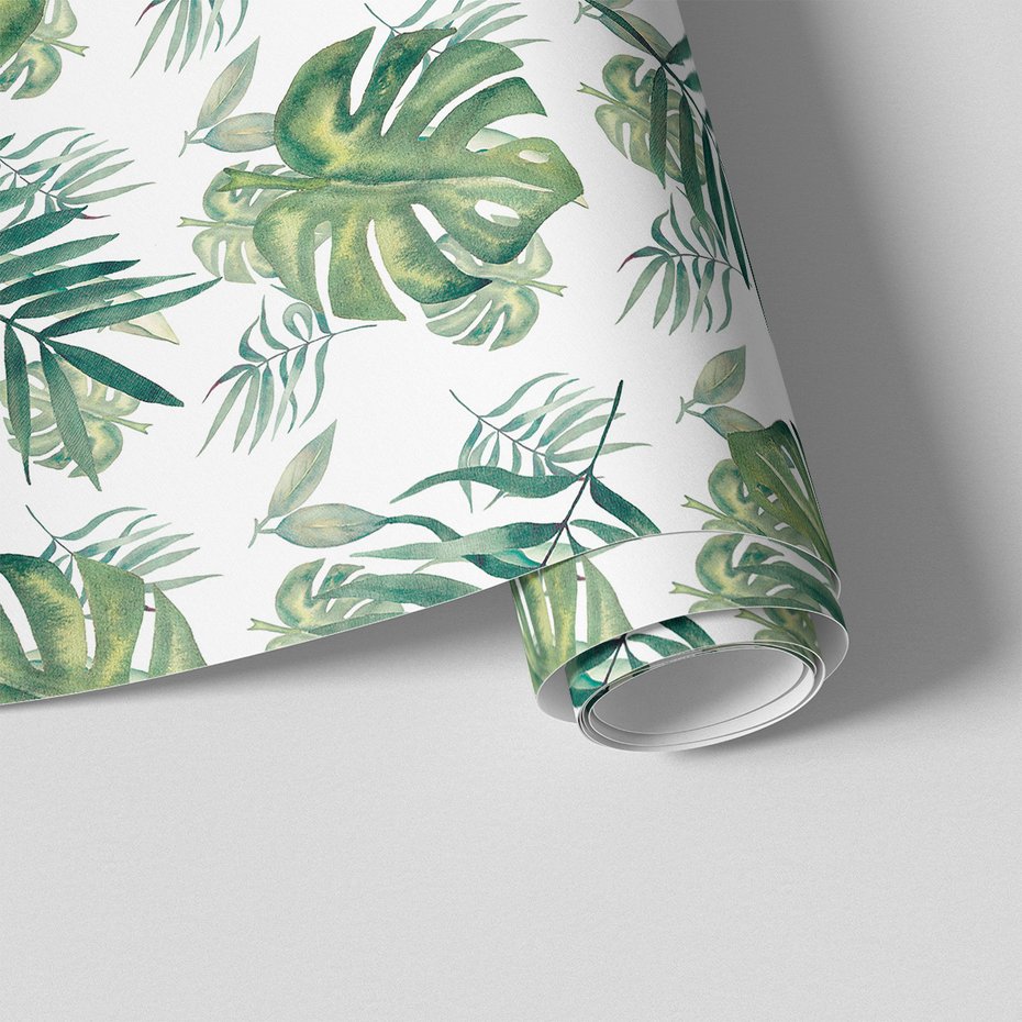 Tapeta - liście, monstera, natura