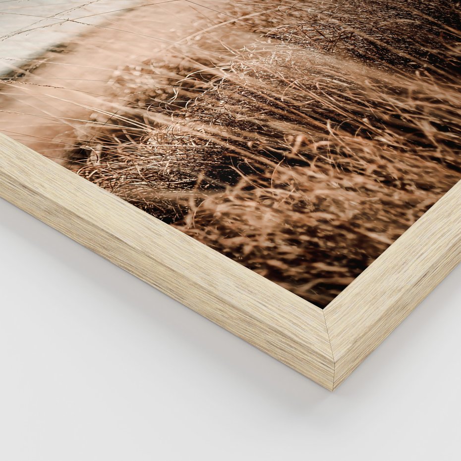 Zestaw obrazy w ramie, plakaty - przyroda, krajobraz, wydma - rama drewno