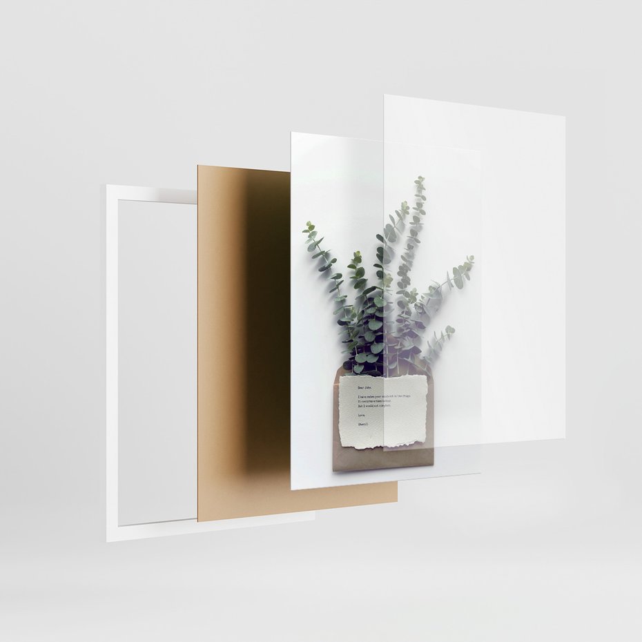 Zestaw obrazy w ramie, plakaty - eukaliptus, liście, gałązki - rama biała