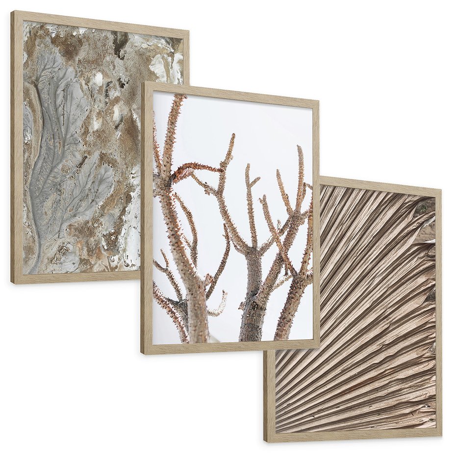 Zestaw obrazy w ramie, plakaty - abstrakcja, roślina, natura - rama drewno