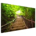 Obraz na płótnie - schody, las, natura
