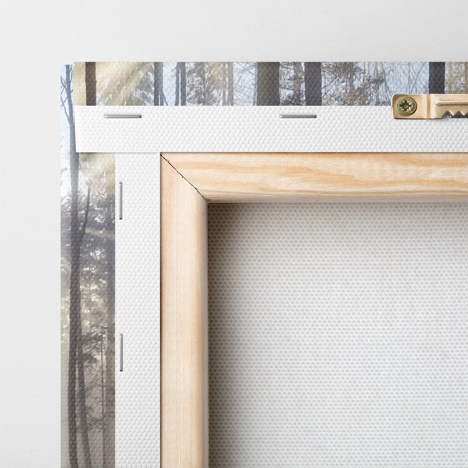 Obraz na płótnie - las, drzewa, mgła