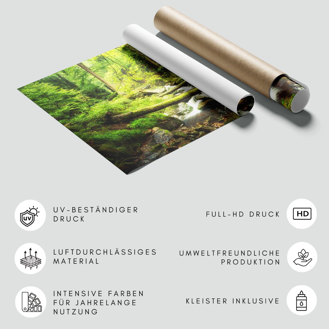 Fototapeta - las, potok, natura