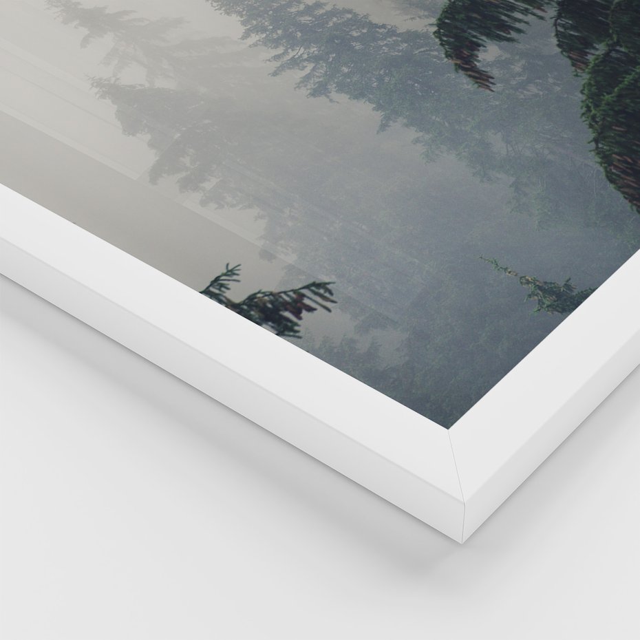 Zestaw obrazy w ramie, plakaty - las, drzewa, jeleń - rama biała