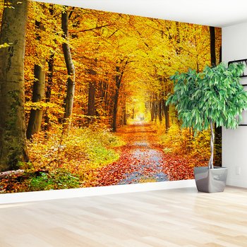 Fototapeta - jesień, las, liście