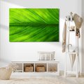 Obraz na płótnie - liść, zieleń, natura