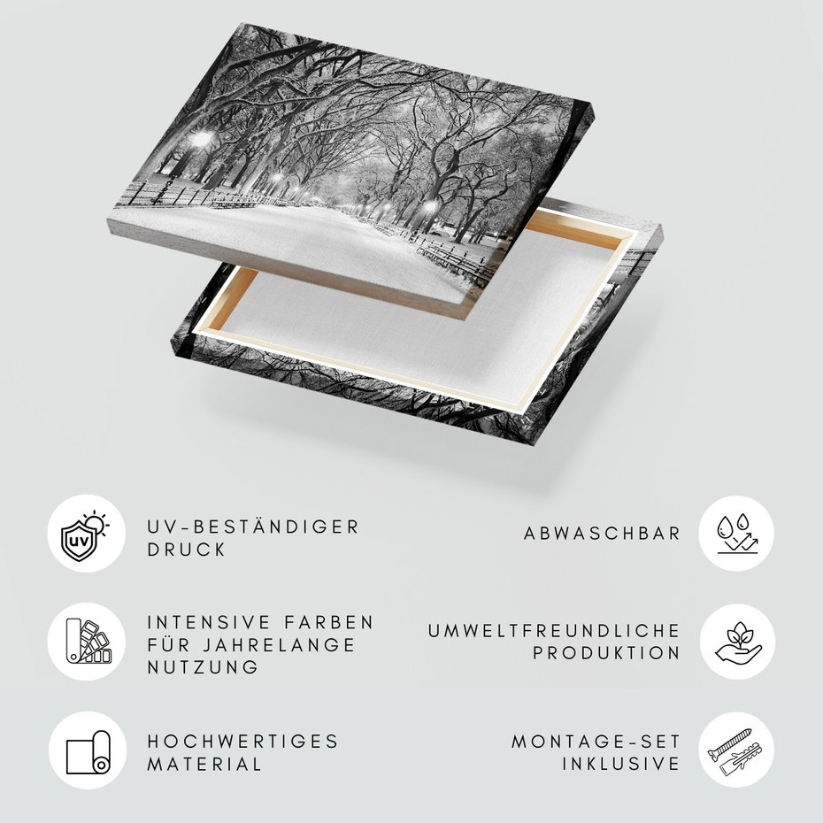 Obraz na płótnie - zima, śnieg, park