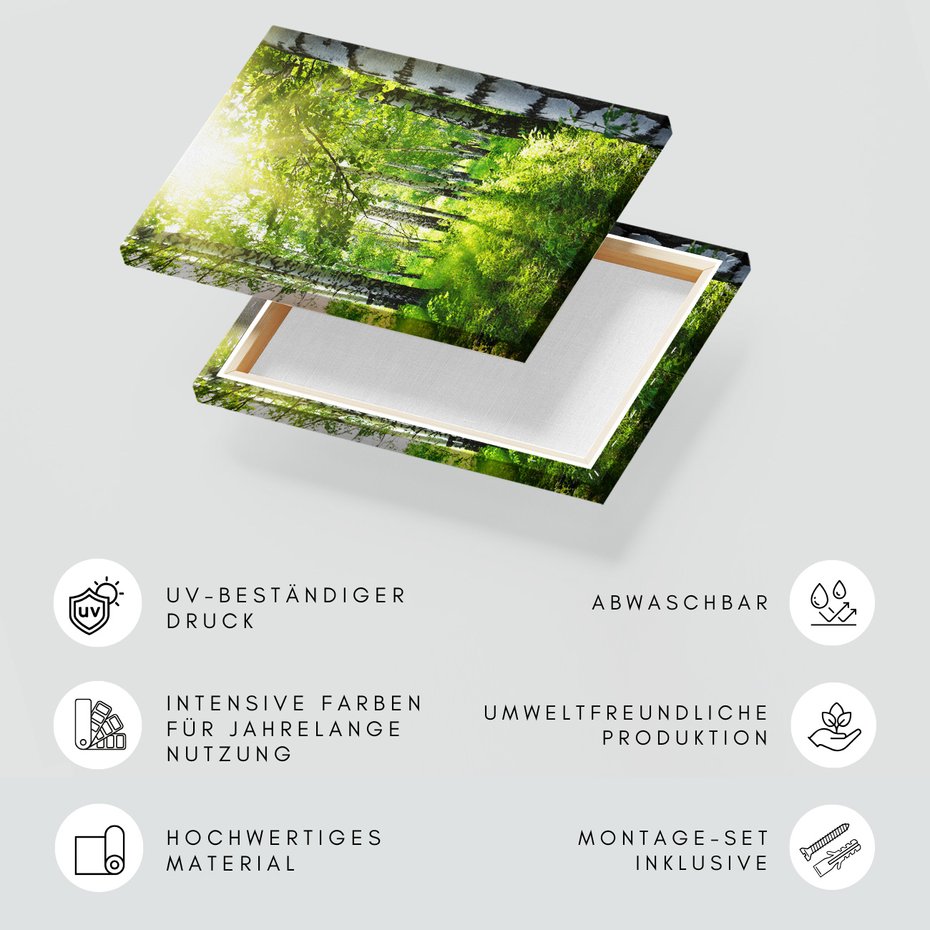 Obraz na płótnie - las, brzozy, natura